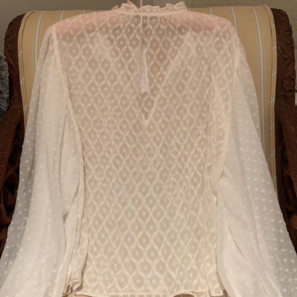 ALICE + OLIVIA JULIUS SILK BLEND BLOUSE PUFFED SLEEVES SWISS DOT DESIGN SIZE M - Picture 10 of 14